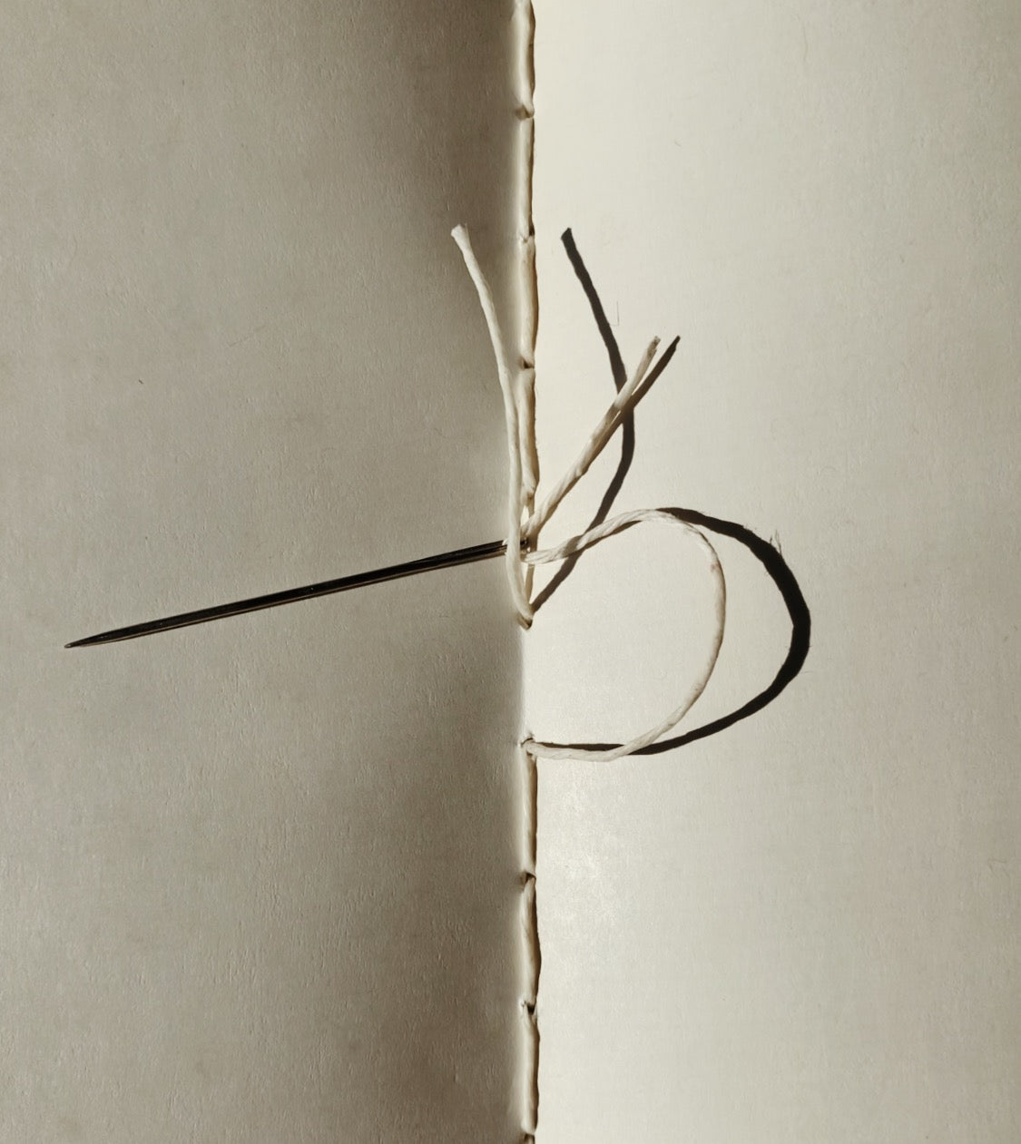 standard map journal | thyme