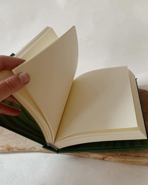 Cultivating Curiosity: Meditation and Journaling [recording]