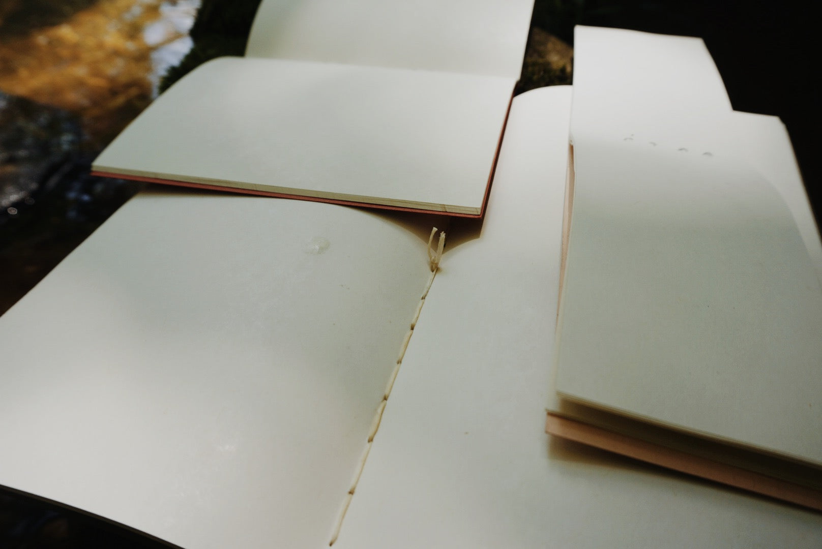 medium map journal | lemon