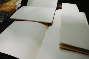 medium map journal | lemon