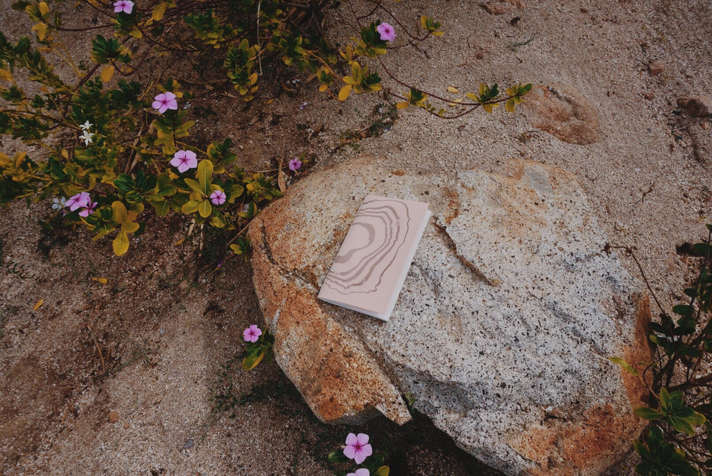 standard map journal | canyon