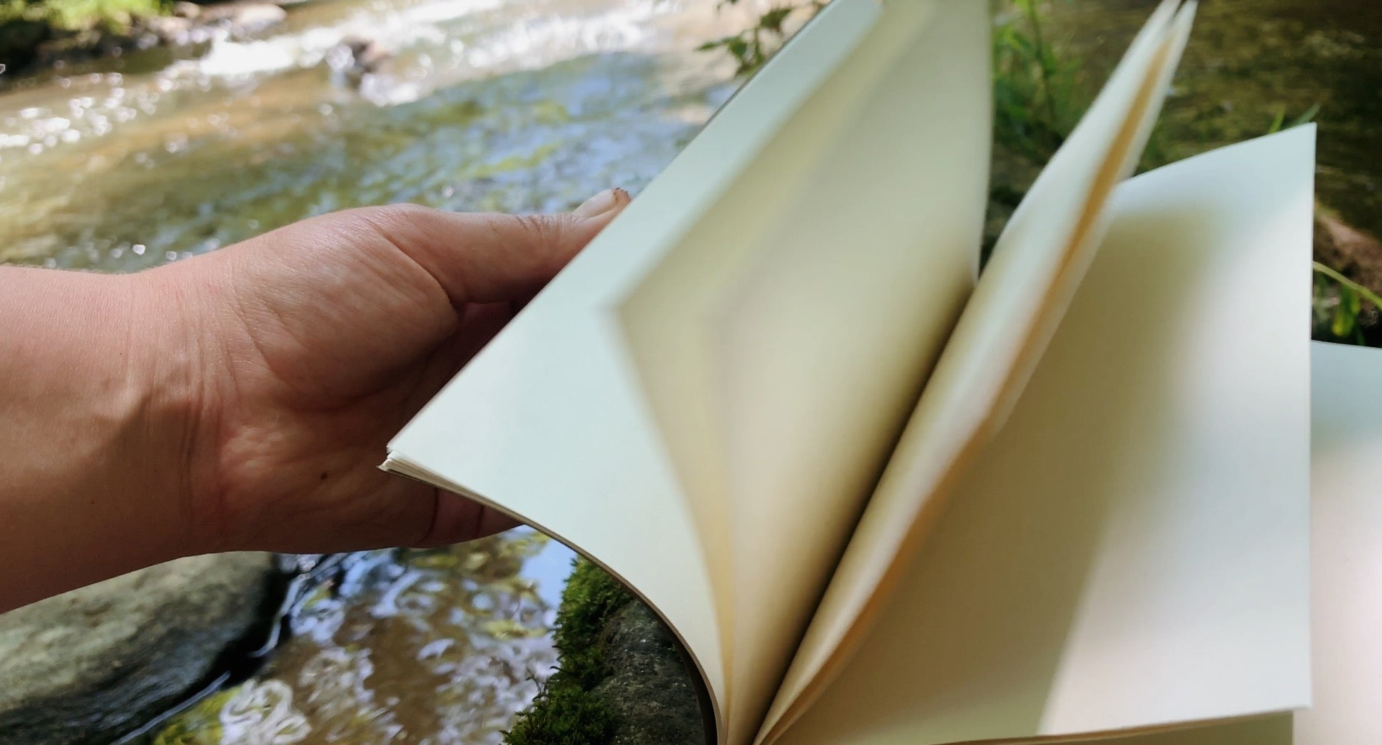 standard map journal | fig
