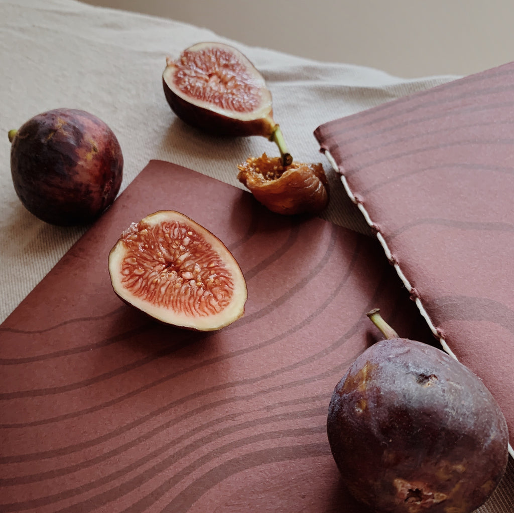 standard map journal | fig