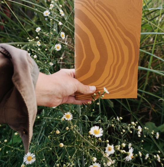 standard map journal | marigold