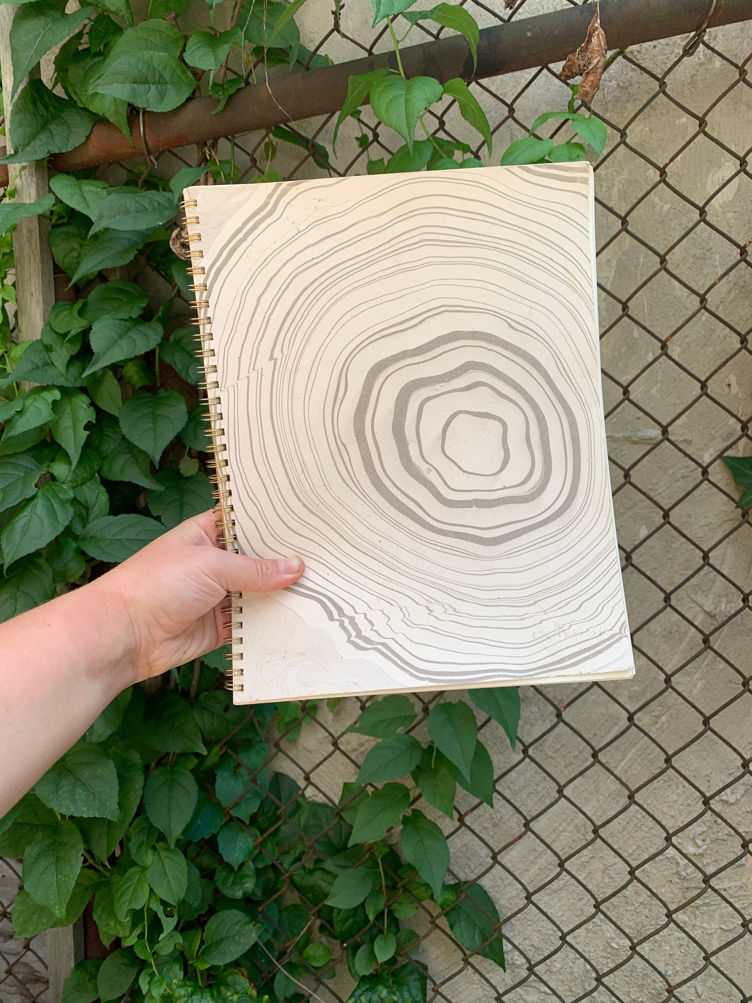 the spiral notebook